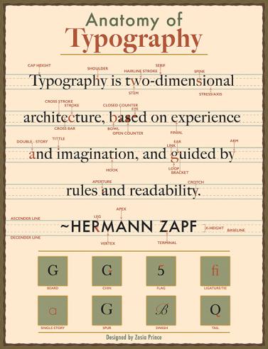 Info graph poster depicting Anatomy of Typography.