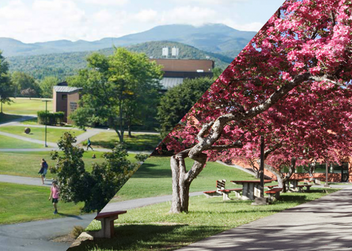 A split image of an outdoor view of a college campus, with trees and benches.